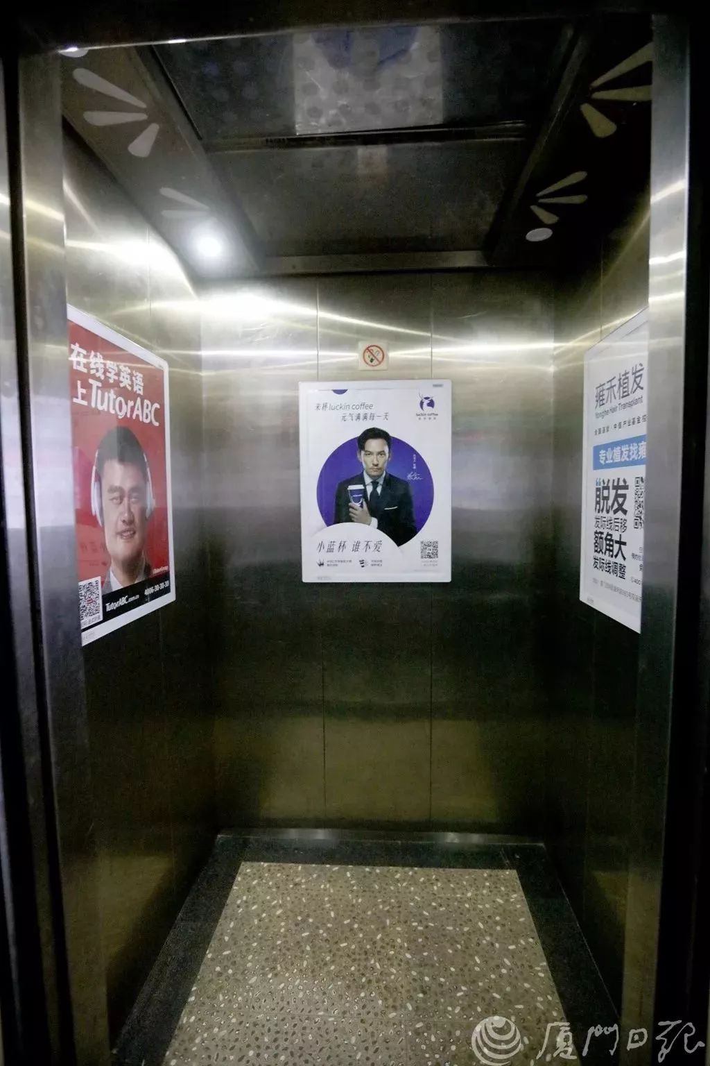 電梯廣告亂象 從便民到擾民，公益幌子下的視覺污染